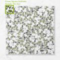 Picture of Terra Kosmo Deep Olive (Matt) 600x600x10 (Rectified)