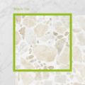 Picture of Terra Kosmo Sandy Shore (Matt) 200x200x7 (Rectified)