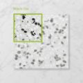 Picture of Terra Piccolo Dalmatian (Matt) 200x200x7 (Rectified)