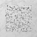Picture of Terra Piccolo Dalmatian (Matt) 200x200x7 (Rectified)