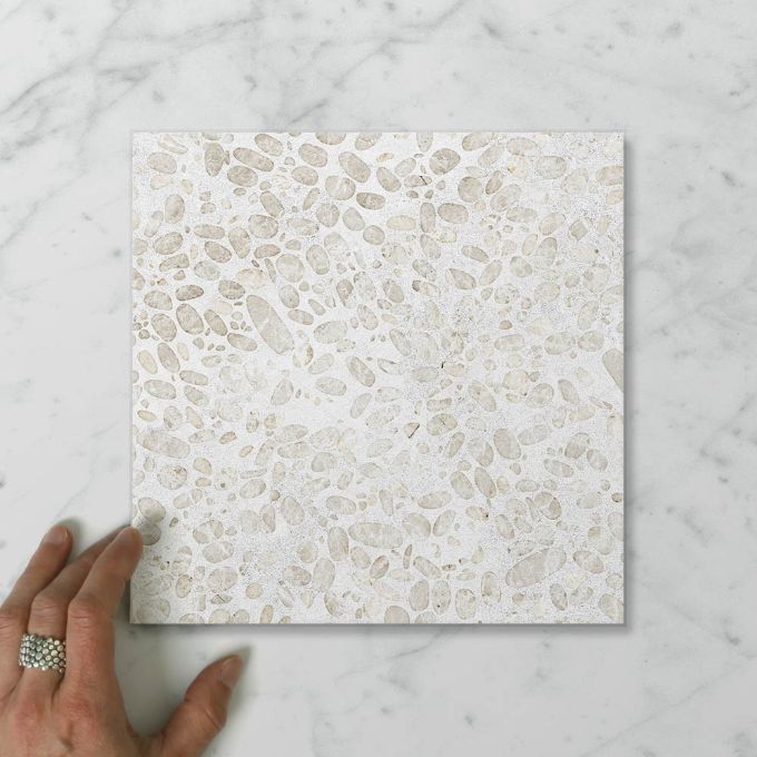 Picture of Terra Piccolo Seashore (Matt) 200x200x7 (Rectified)